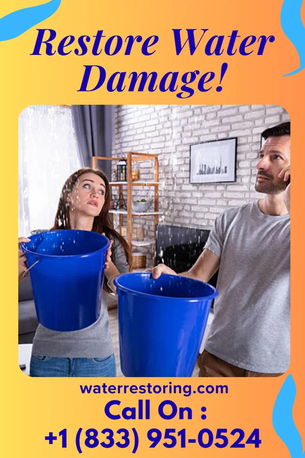 water restoration Modern Disaster Cleanup Inc Cobre