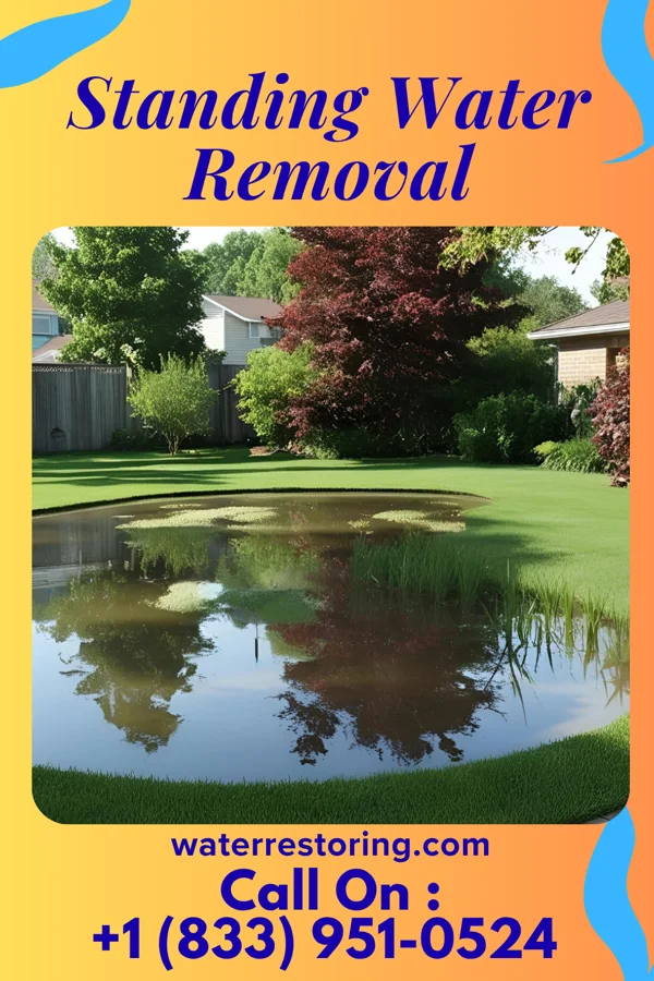 Standing Water Removal in Cobre, NM